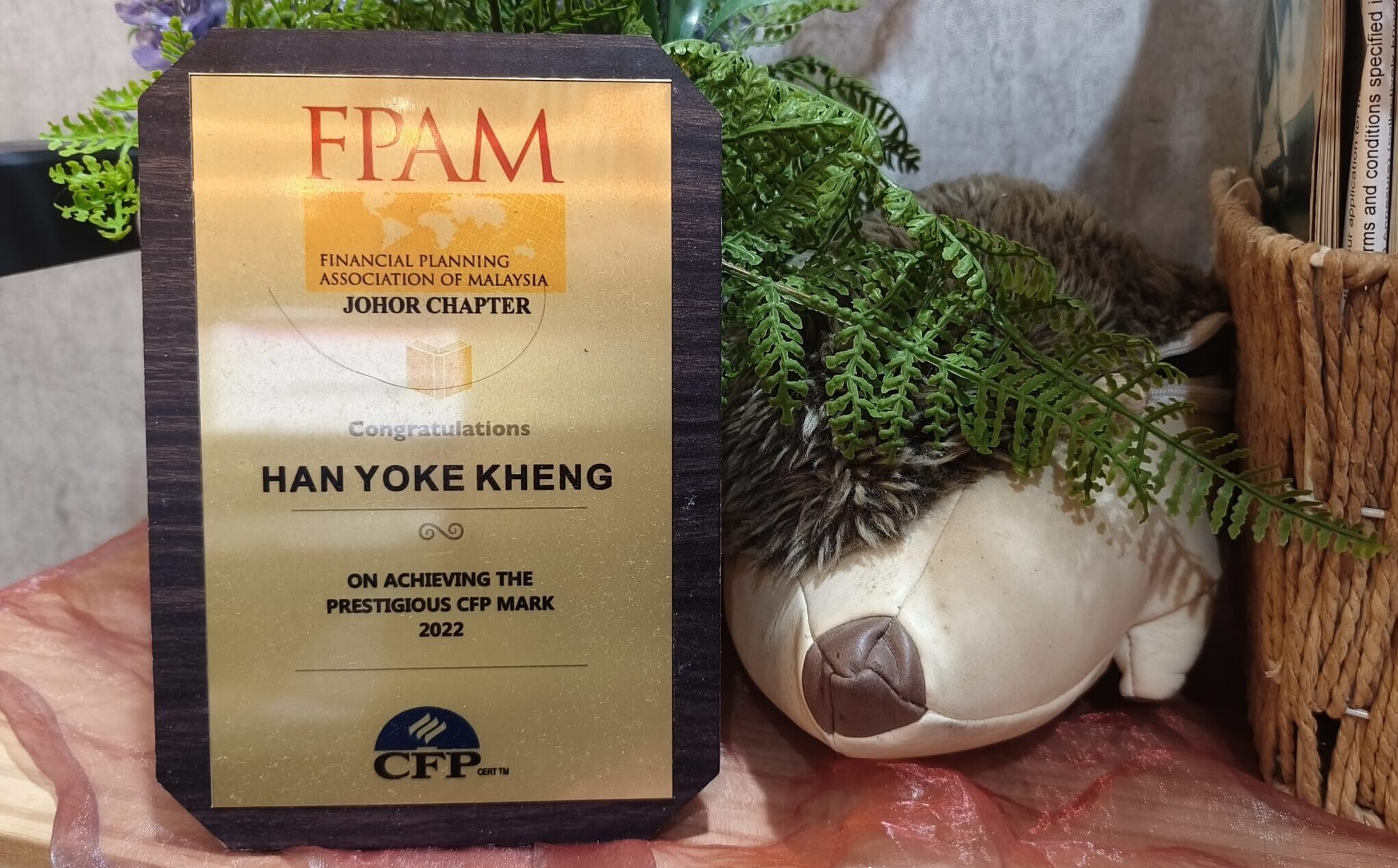 Amanda Han CFP CERT TM Professional 专业